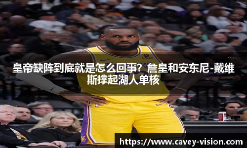 bsports登录入口