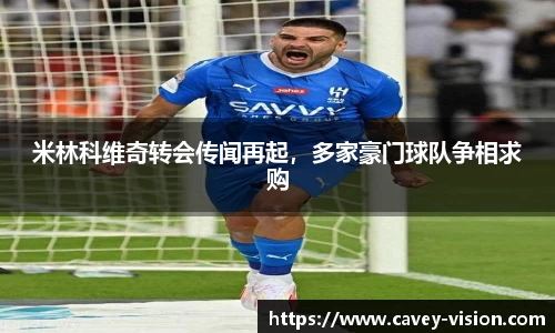 bsports官网入口