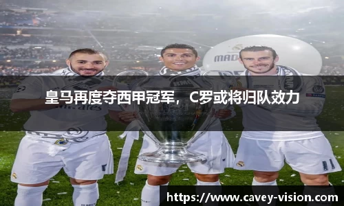 bsports登录入口