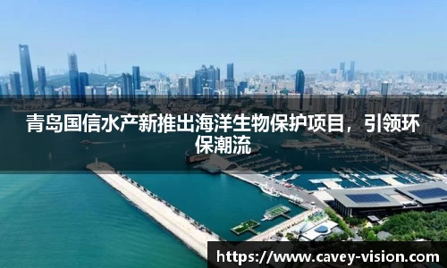 bsports官网入口