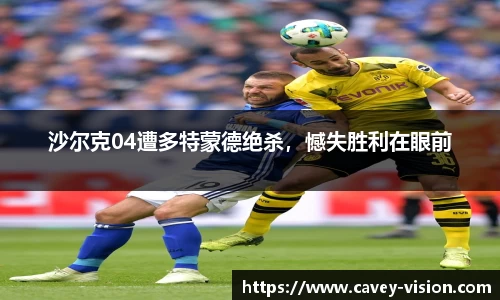 Bsports网页版