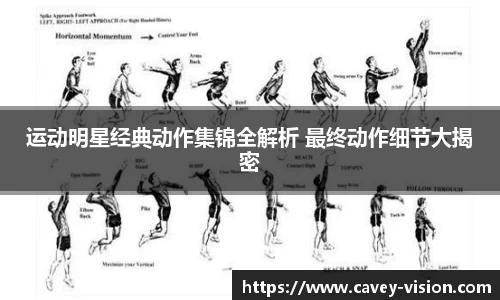 bsports官网入口