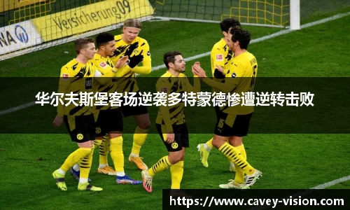 bsports登录入口
