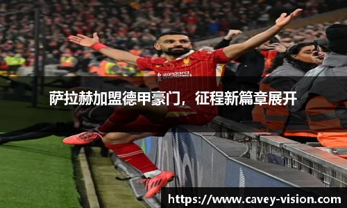 Bsports网页版