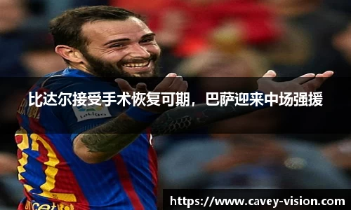 bsports官网入口