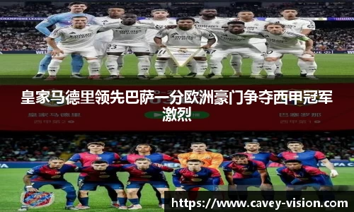 bsports官网入口