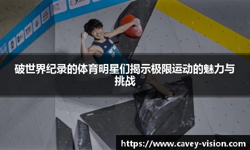 bsports官网入口