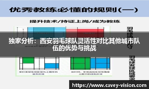 bsports官网入口
