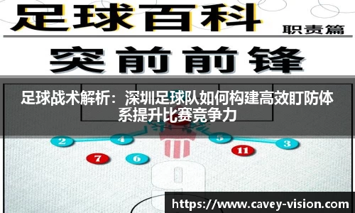 bsports官网入口