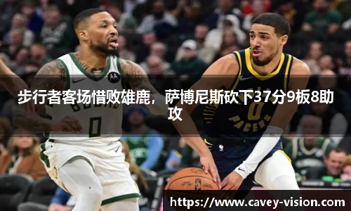 bsports登录入口