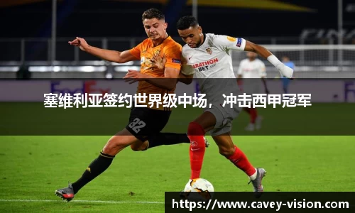 Bsports网页版