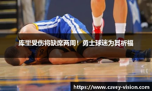bsports官网入口