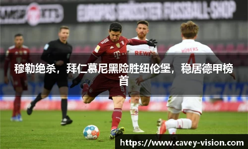 bsports官网入口