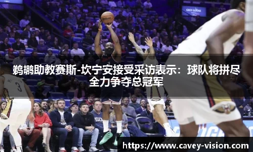 bsports登录入口