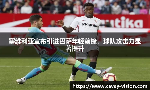 bsports官网入口
