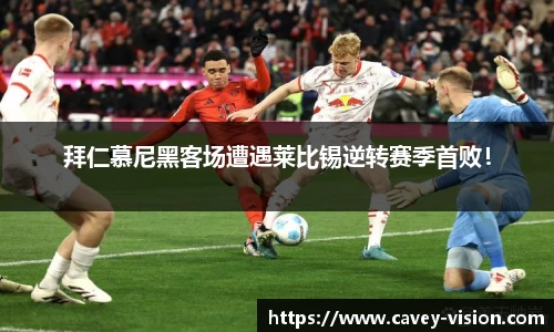 bsports登录入口