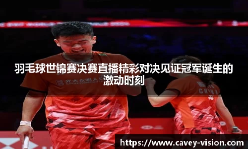 羽毛球世锦赛决赛直播精彩对决见证冠军诞生的激动时刻