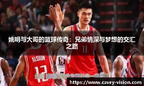 bsports登录入口
