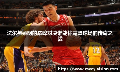 bsports官网入口
