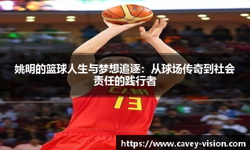 bsports登录入口