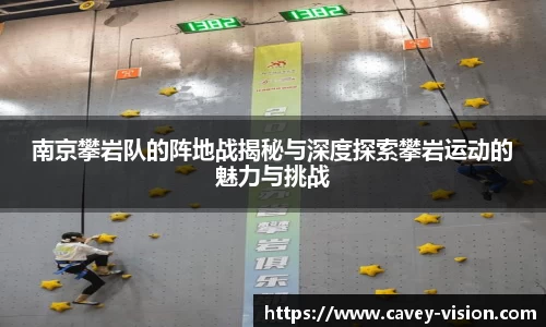 bsports官网入口