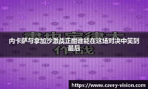 bsports官网入口