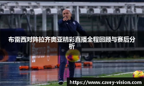 bsports登录入口