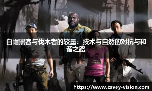 bsports官网入口