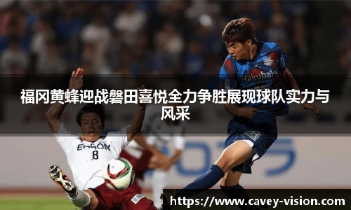 bsports登录入口
