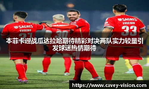 bsports官网入口