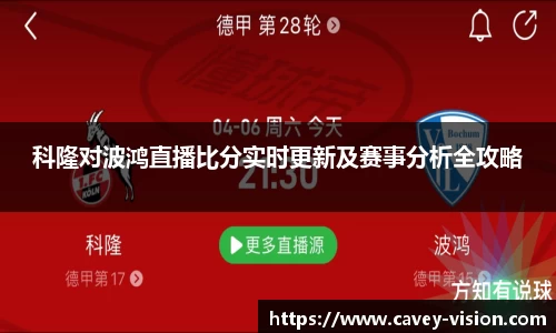 bsports登录入口