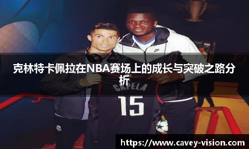 bsports登录入口