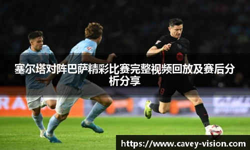 bsports登录入口