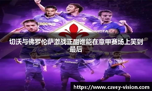 bsports登录入口