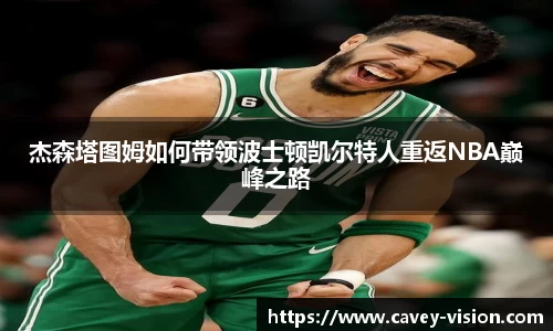 bsports登录入口