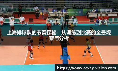 bsports登录入口