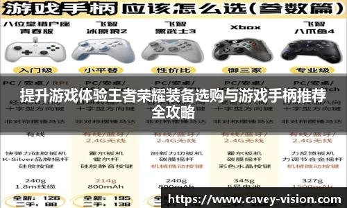 bsports登录入口