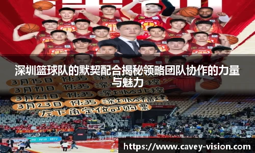 bsports官网入口